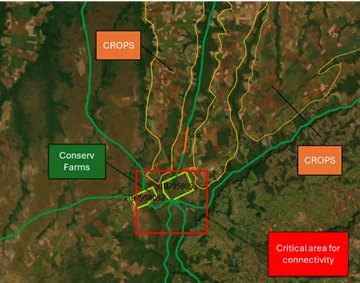 Áreas CONSERV servem como rotas de movimentação da vida selvagem. Foto: IPAM