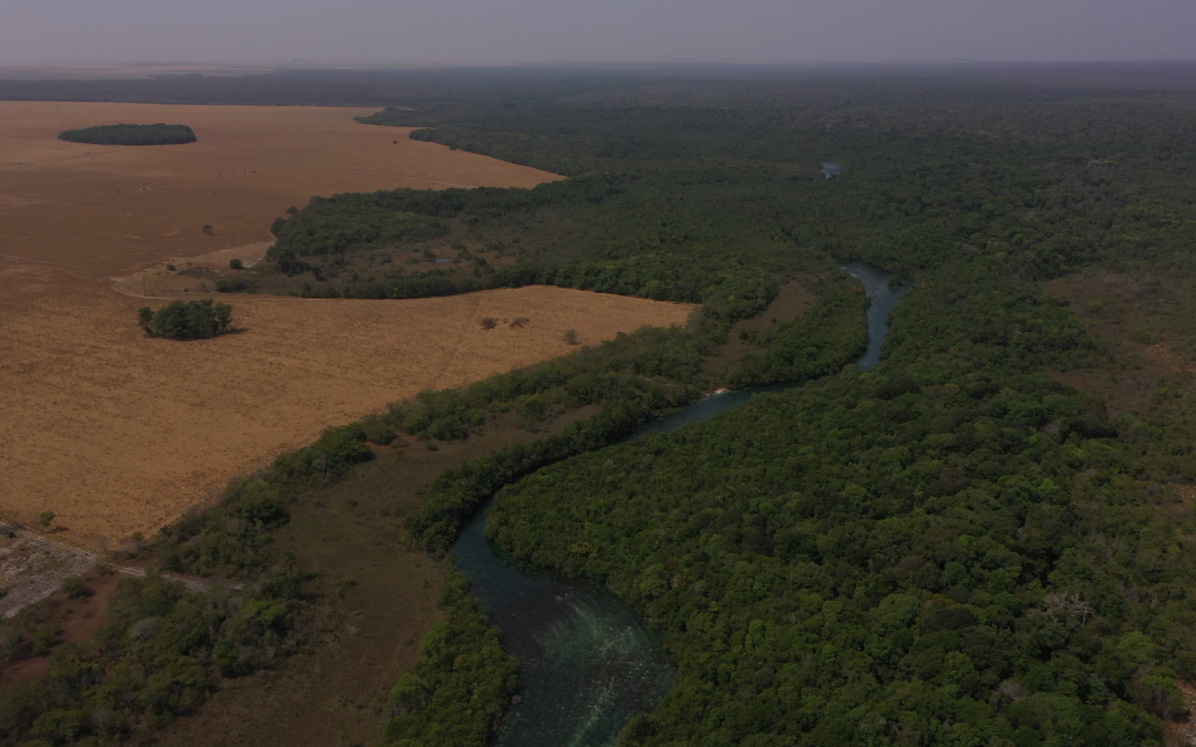 Rural landowners conserve an area larger than the legal reserve after experimenting with a sustainable project