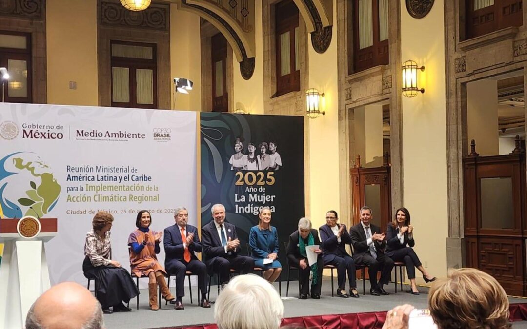 IPAM integra reunião para alinhar visão da América Latina e Caribe para COP30