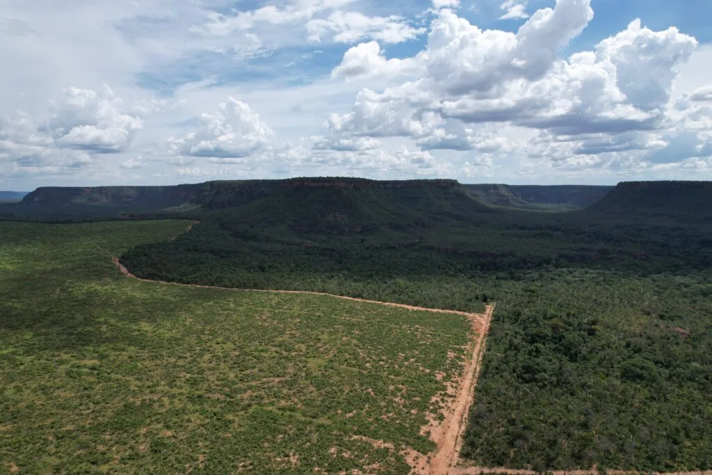 Desmatamento na Amazônia migra de áreas públicas para uso privado