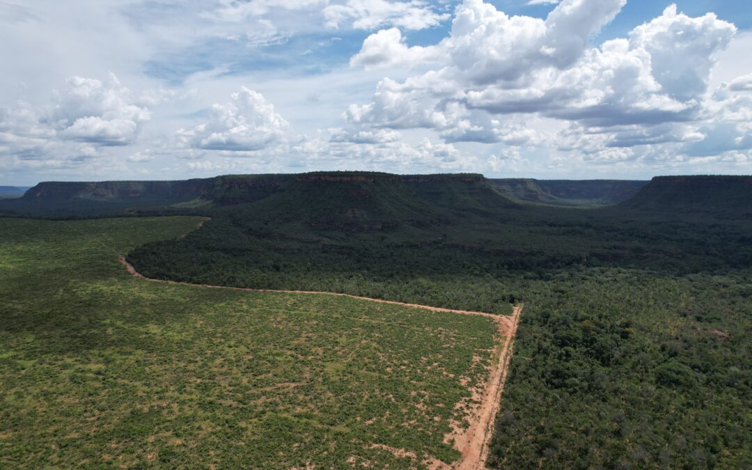 Desmatamento na Amazônia migra de áreas públicas para uso privado
