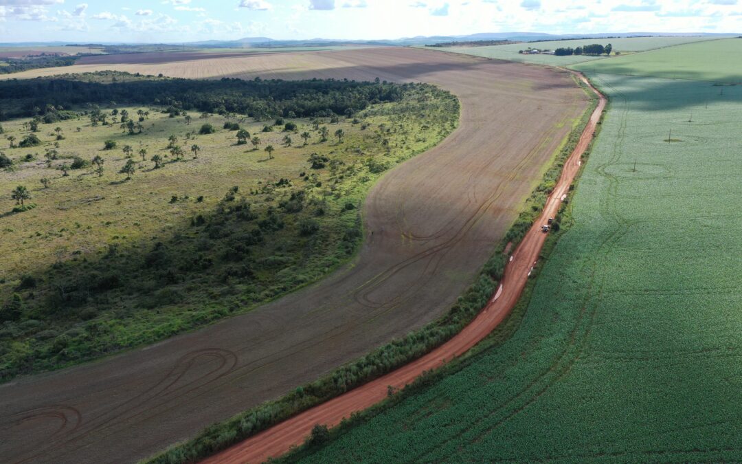 Brasil tem 18 milhões de hectares de Reserva Legal desmatados ilegalmente