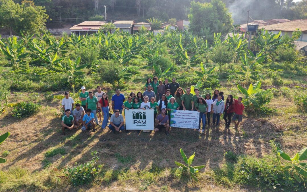 Jovens aprendem sobre manejo e condução de Sistema Agroflorestal