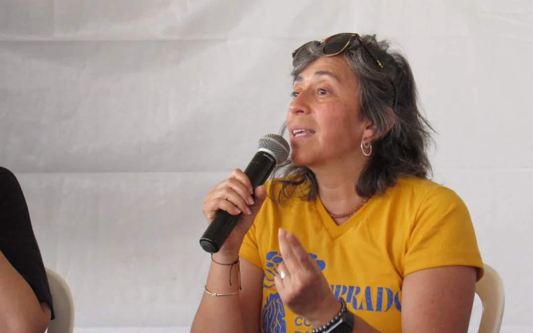 Brazil depends on water and food produced in the Cerrado, warns scientist