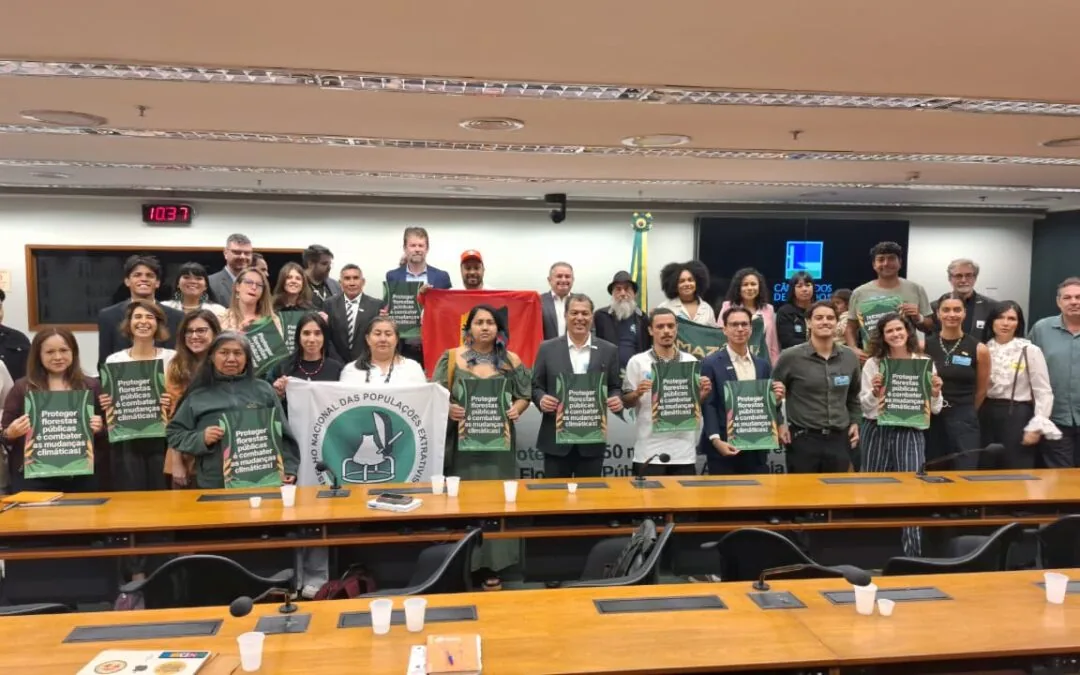 “In the Amazon, an area of forest the size of Bahia could disappear”