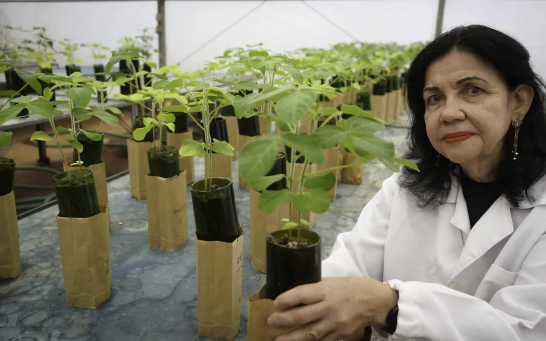 Mariangela Hungria, the Brazilian scientist who received the “Nobel Prize for Agriculture”