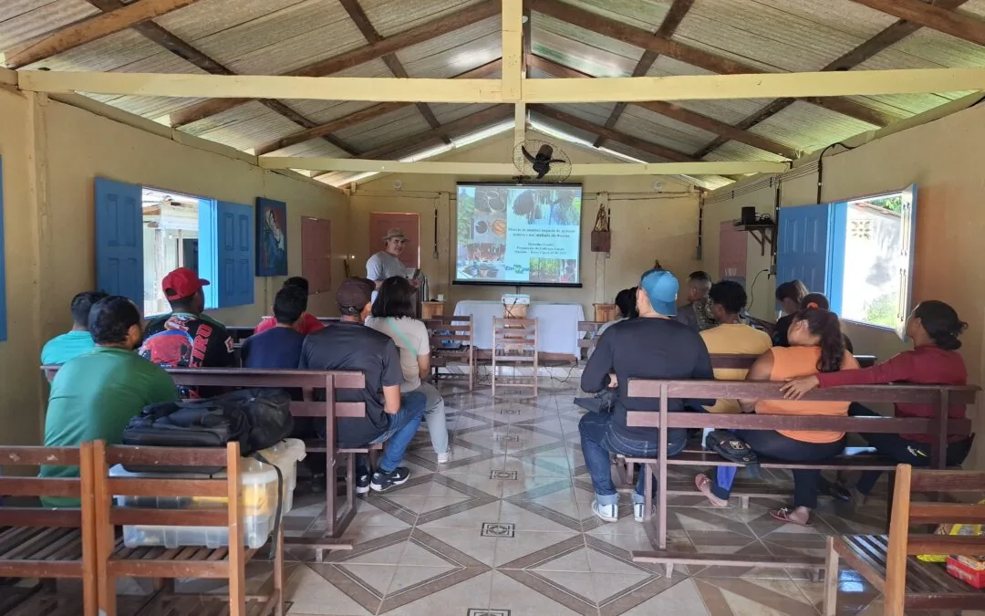 Workshop encourages sustainable management of açaí in Amapá