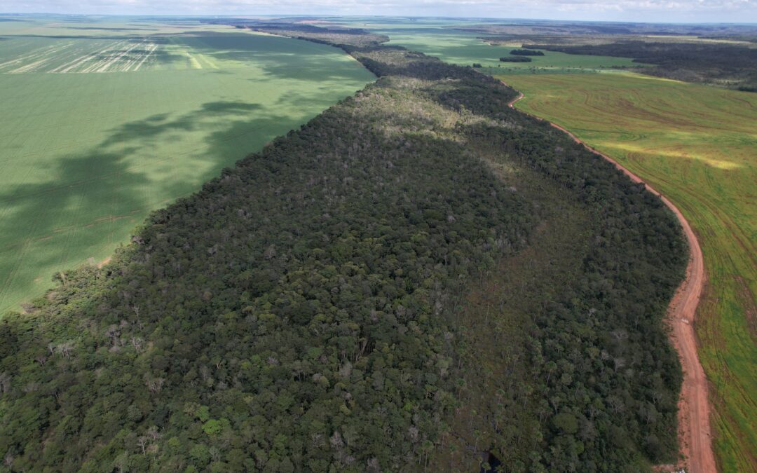 Produtores rurais relatam experiência com o CONSERV no Maranhão