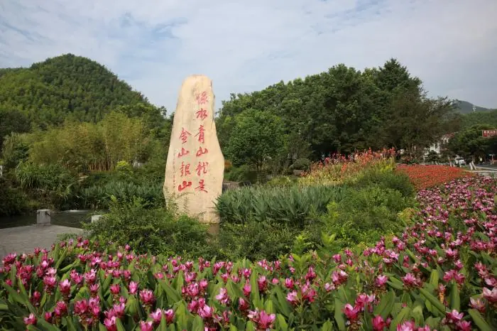 “Questions about East and West”: interview with China News Service