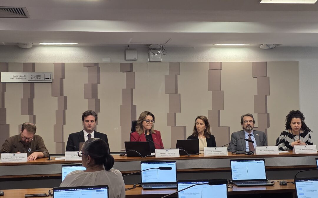 No Senado, IPAM sugere debate mais sério sobre fim dos combustíveis fósseis