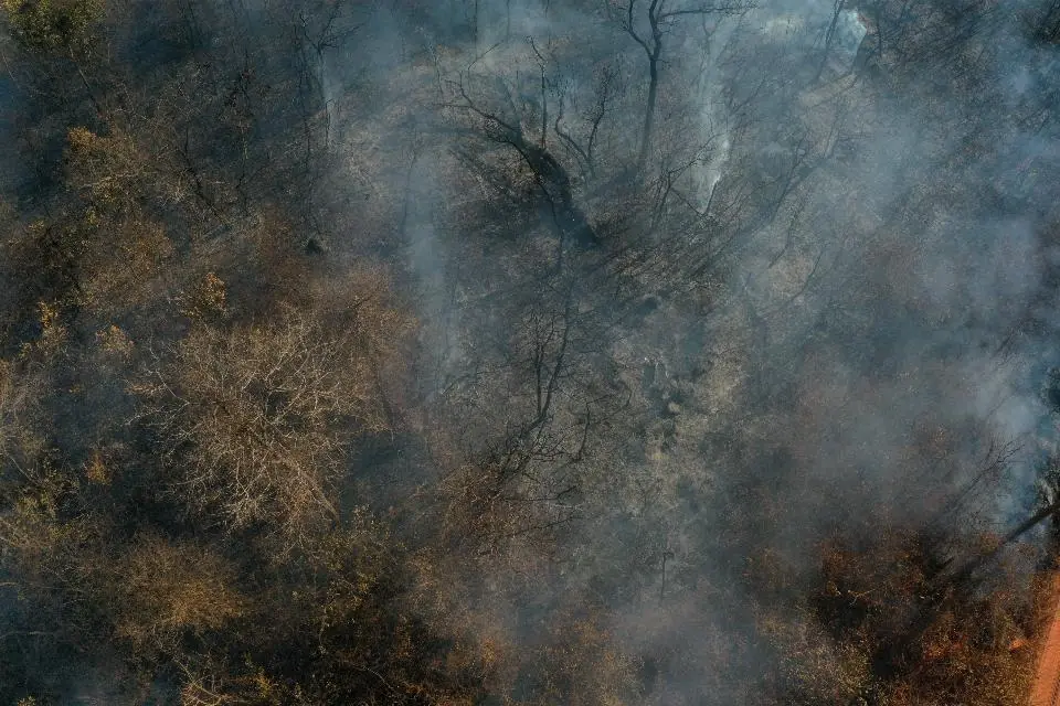 Gestão do fogo ganha destaque na COP30 como solução climática