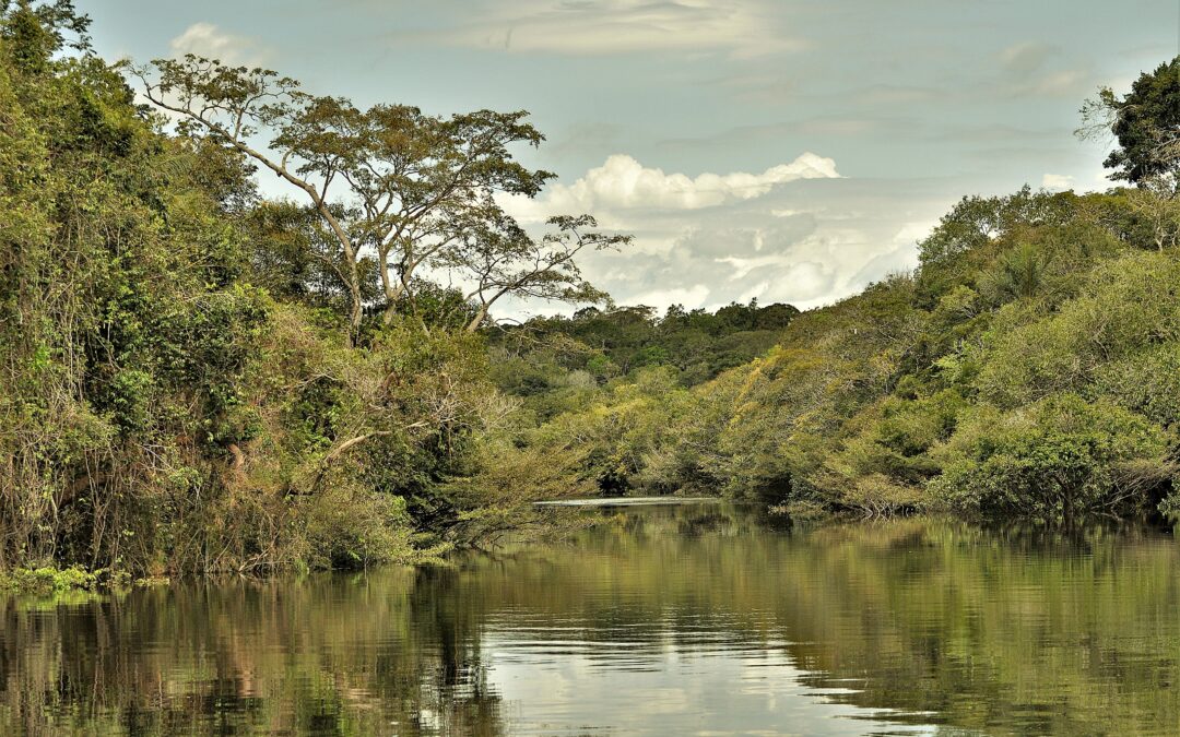 Para IPAM, investimento de US$ 3 bi da Noruega deve alavancar TFFF