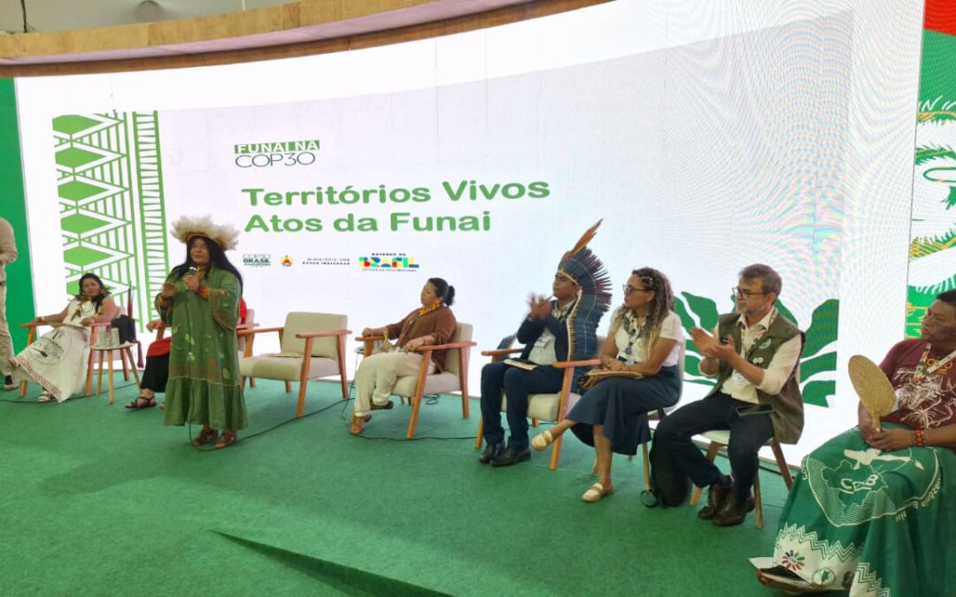 “Demarcação é recado claro do compromisso com indígenas na COP30”