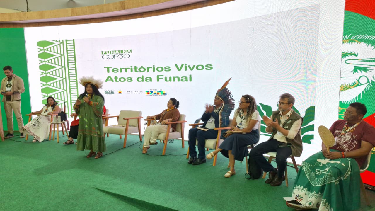 "Demarcation is message of commitment to indigenous peoples at COP30 ...