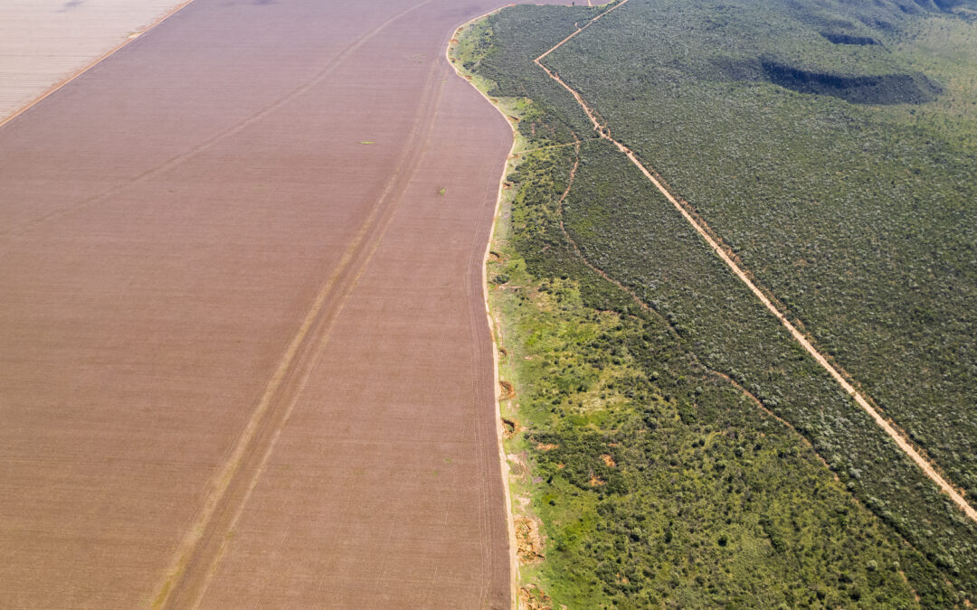 CONSERV protects another 8,000 hectares of private property