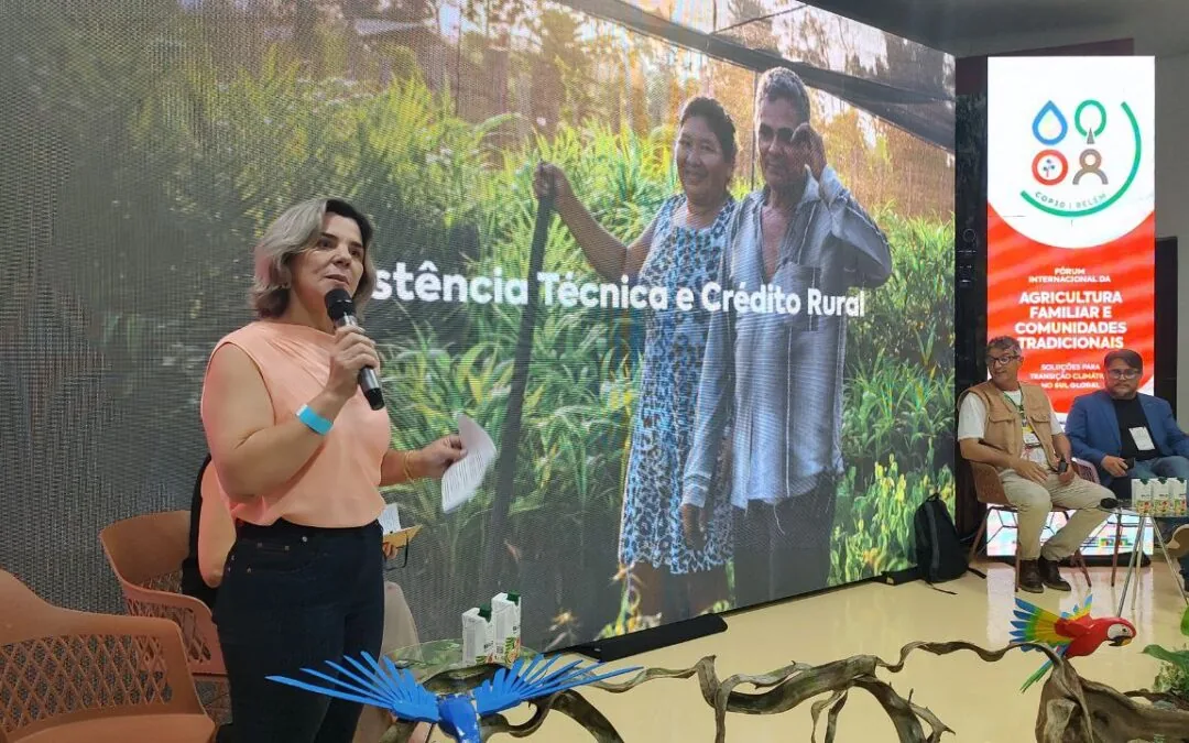 Fórum debate papel da agricultura familiar na proteção das florestas