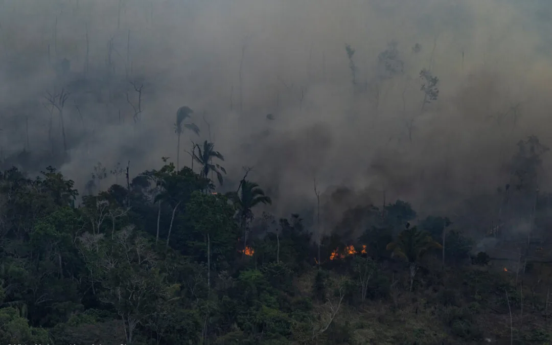 Queimadas de 2024 elevam emissões e ampliam impacto do metano no Brasil