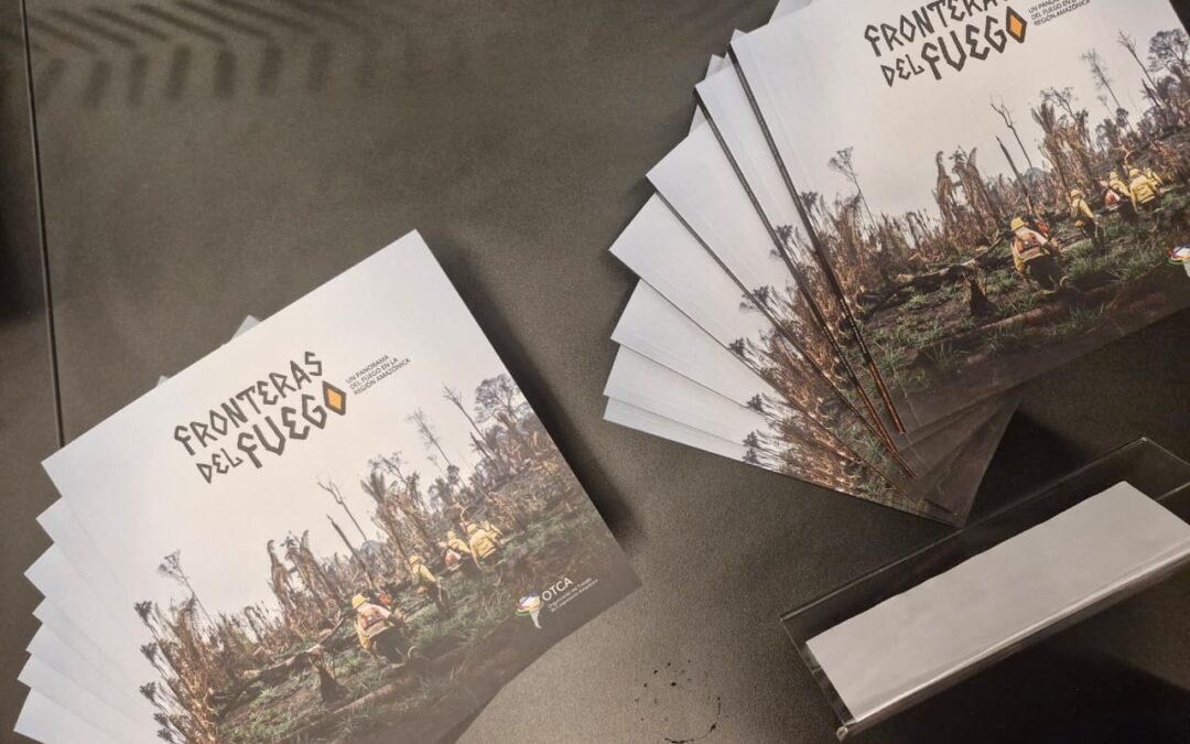 New book provides an unprecedented diagnosis of fire in the Pan-Amazon region