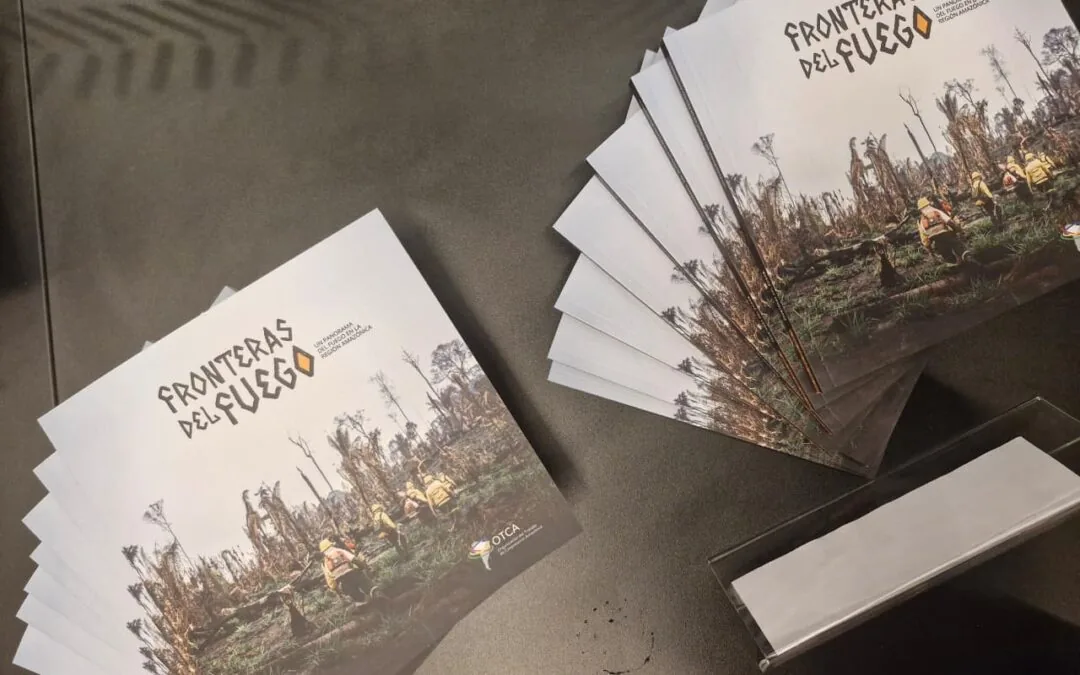 Novo livro traz diagnóstico inédito do fogo na Pan-Amazônia