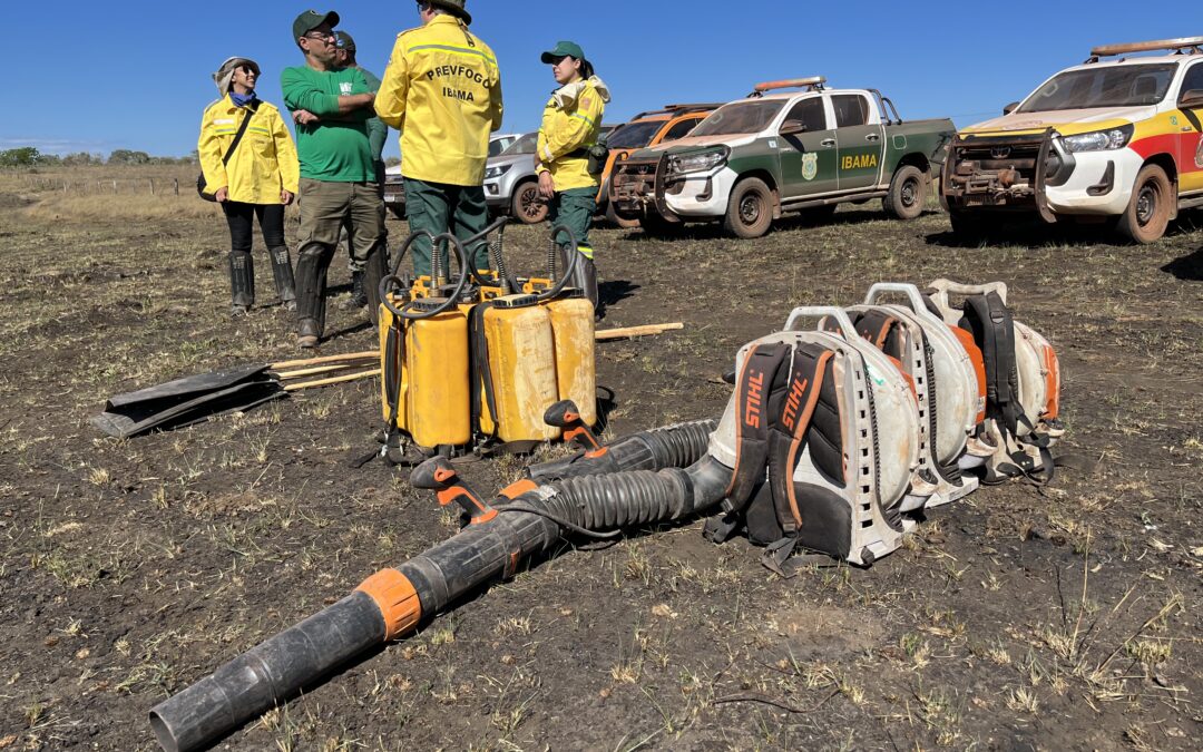Investimento em combate a incêndios deve ser contínuo, avalia IPAM
