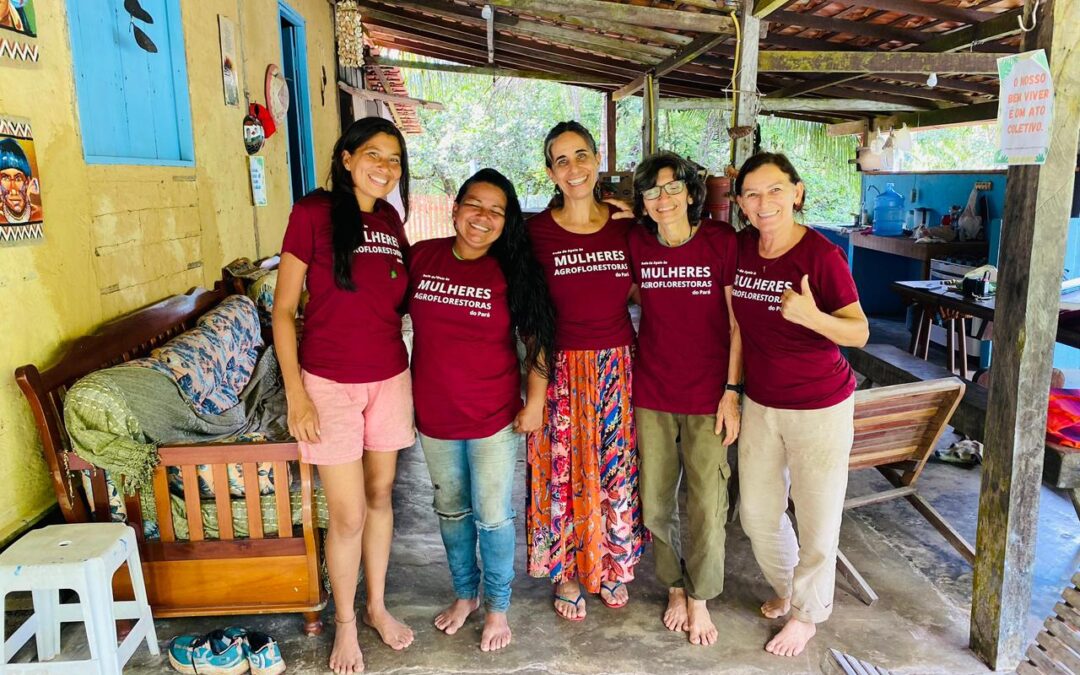 Mulheres cultivam futuro com projetos voltados à agrofloresta no Pará