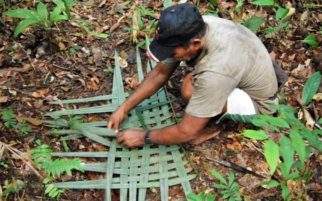 Extreme weather in the Amazon affects 1.8 million people a year