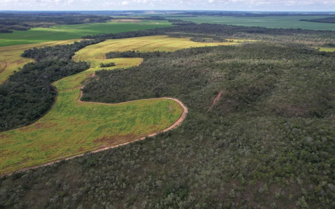 Estudo propõe três incentivos financeiros para conservação da natureza