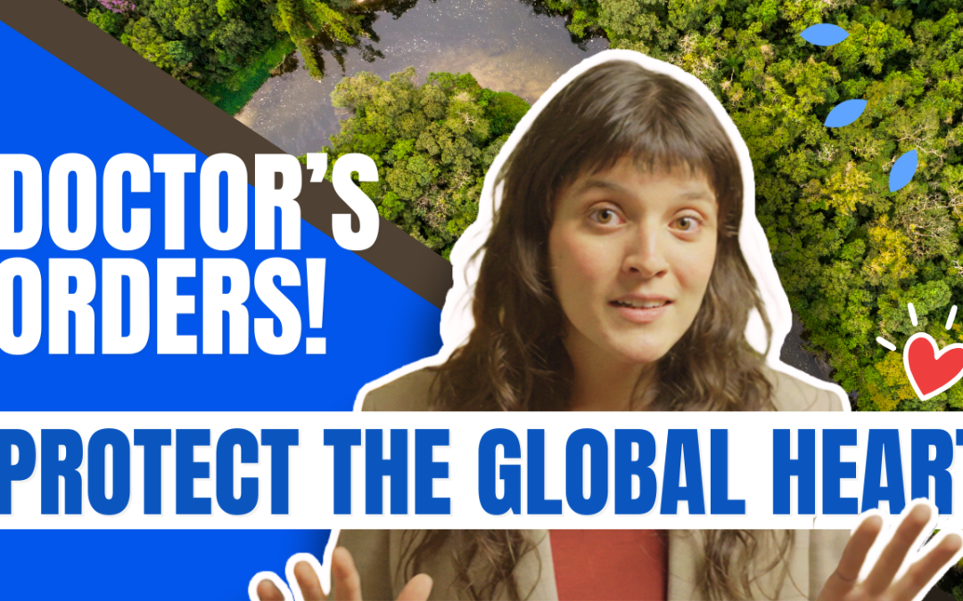 Amazônia é chave para a segurança alimentar global, destaca série do IPAM