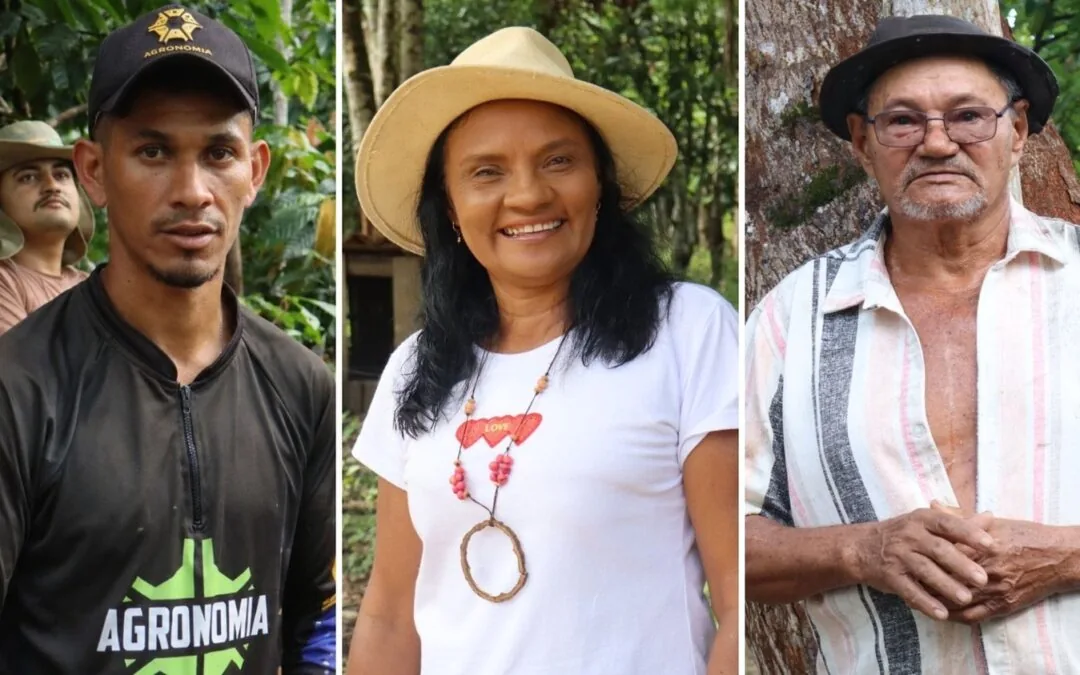 From start to scale: the paths of agroforestry in the Amazon