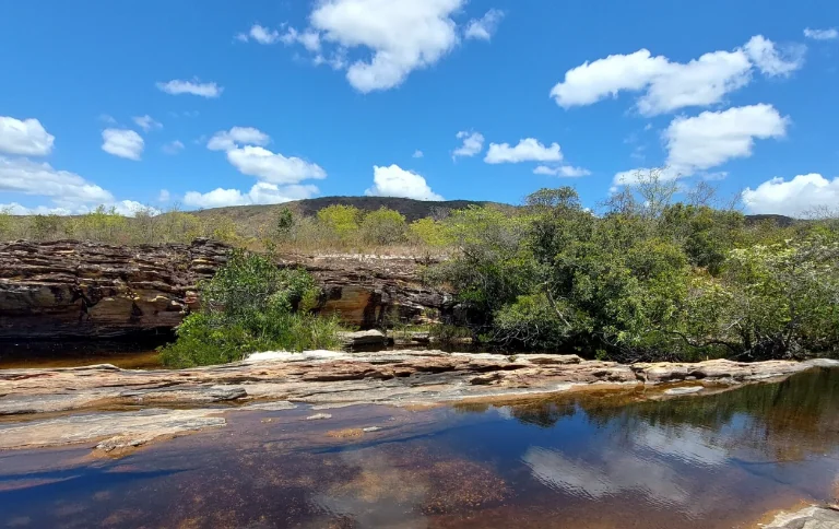 Relevo de Cerrado nativo e rio de águas escuras, quase pretas, dentro da área que hoje pertence à RDS Córrego dos Vales do Norte de Minas