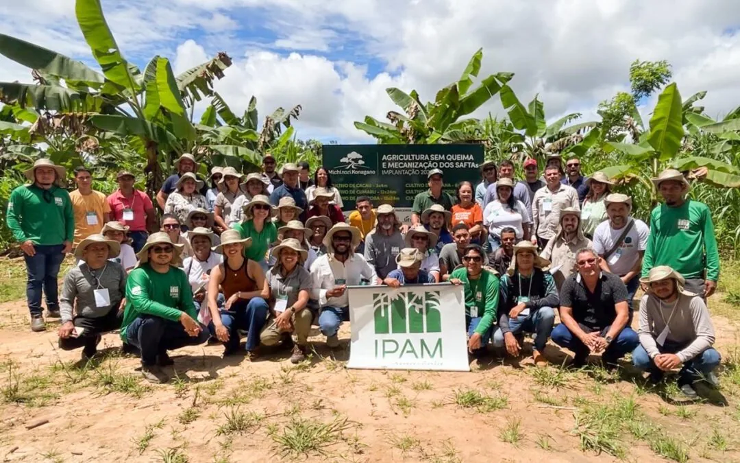 Agroforestry day connects producers and strengthens SAFs in Pará