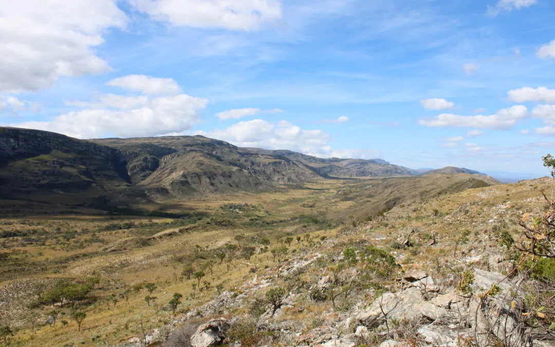 Solo pedregoso do Cerrado protege remanescentes de vegetação nativa