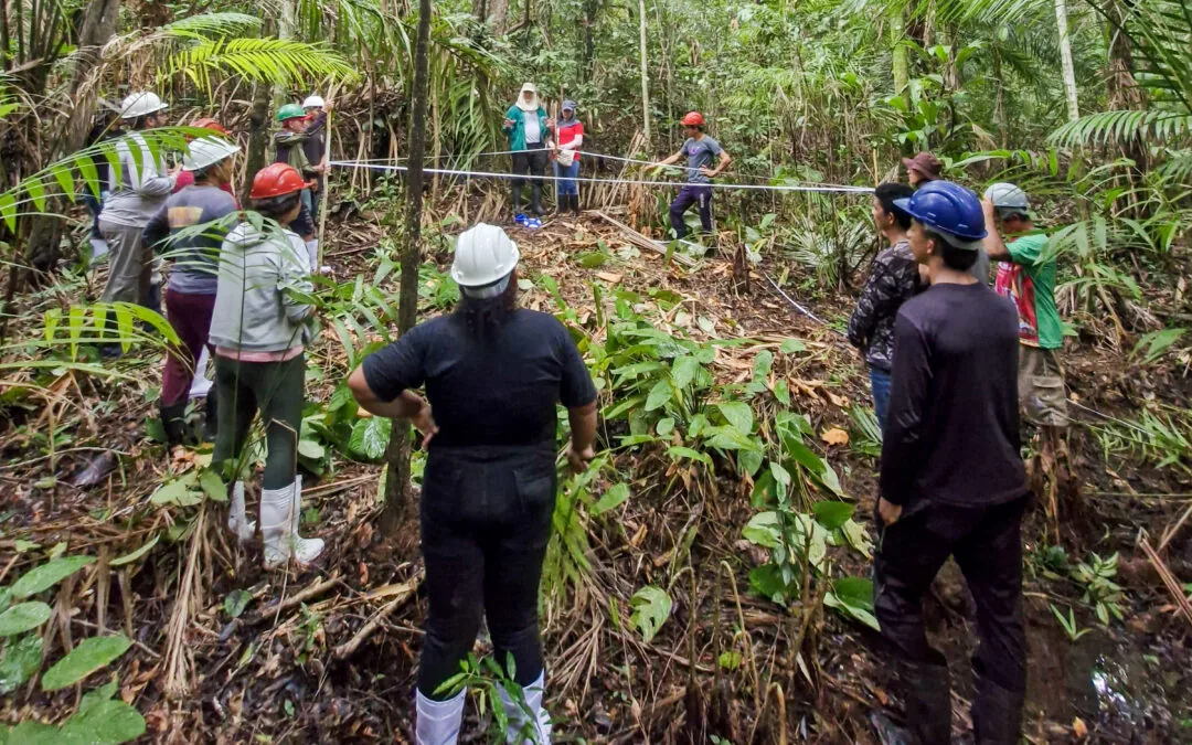 Oficina incentiva manejo do açaí no Amapá