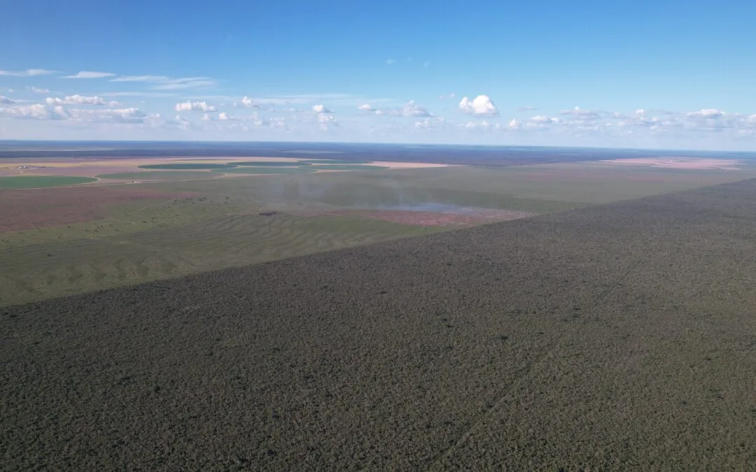 Cerrado soma 55% do desmatamento e concentra maior índice pelo 3º ano