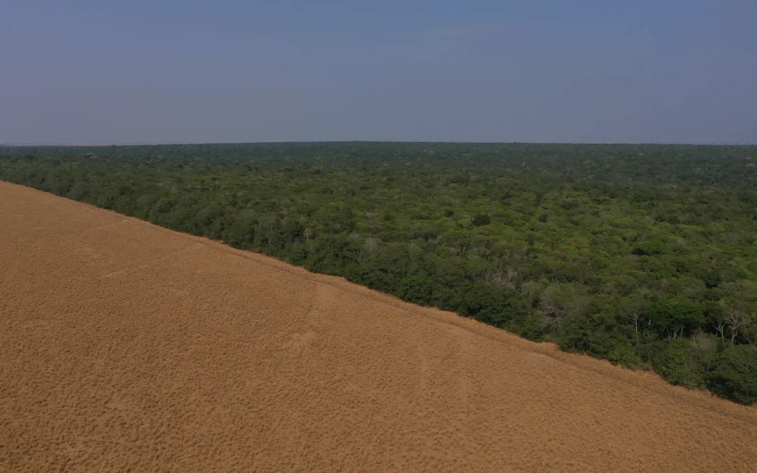 Descontrole ambiental promovido pela Câmara piora futuro do agronegócio