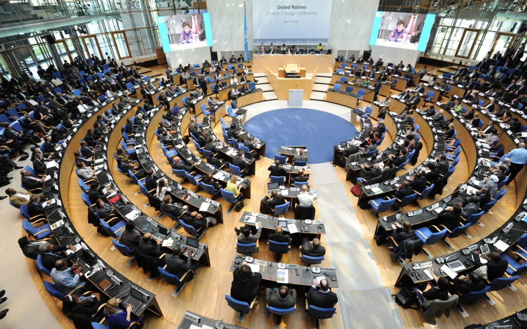Bonn conference could strengthen debate on road maps
