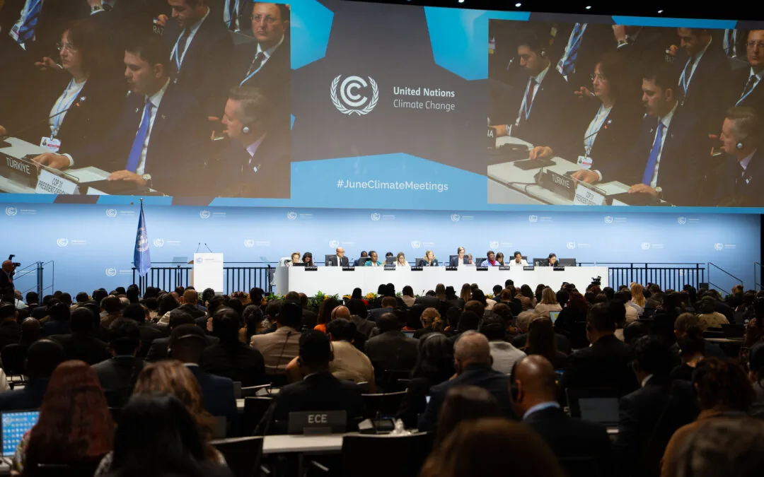 Bonn consolida avanço de roteiro global para proteger florestas