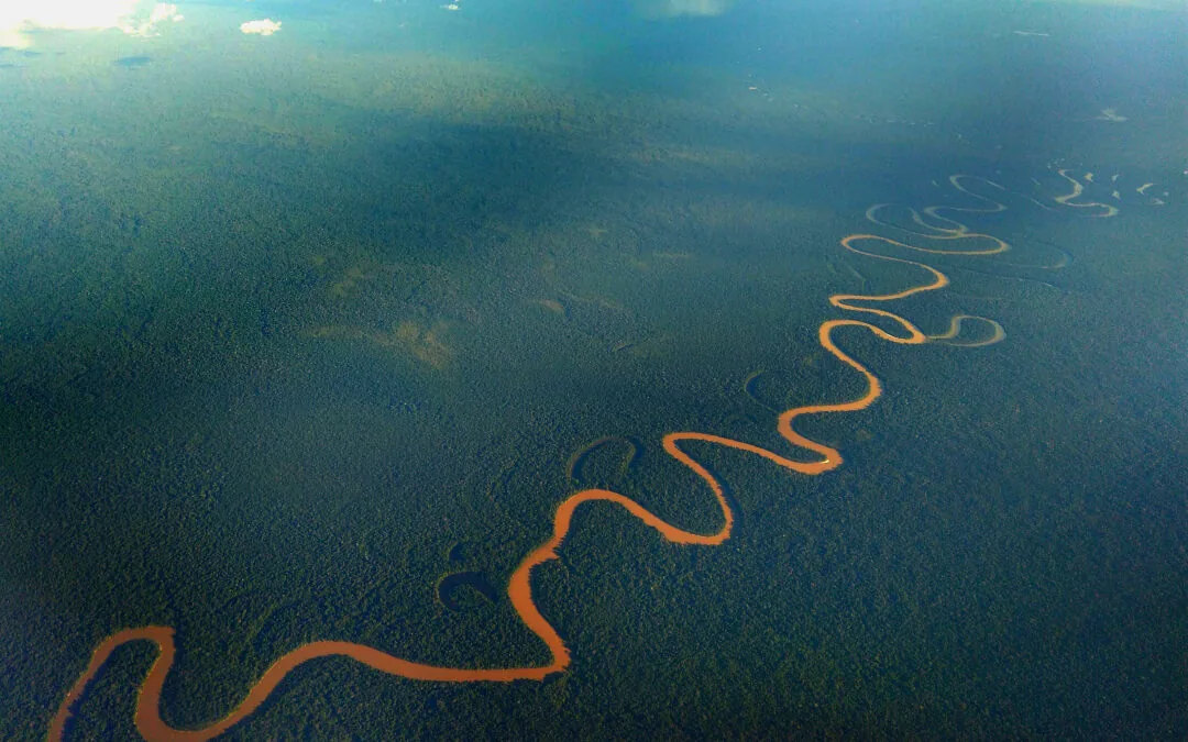 Election year raises concerns about unallocated Amazon forests