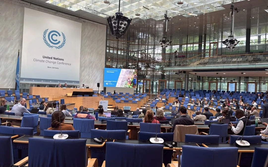 Bonn Discusses the Future of Agriculture in the Context of the Climate Crisis