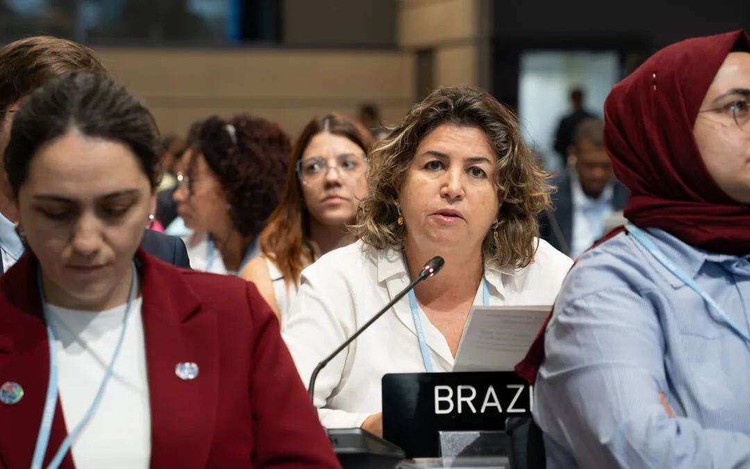 “Ambição em clima também significa ambição nos meios de implementação”