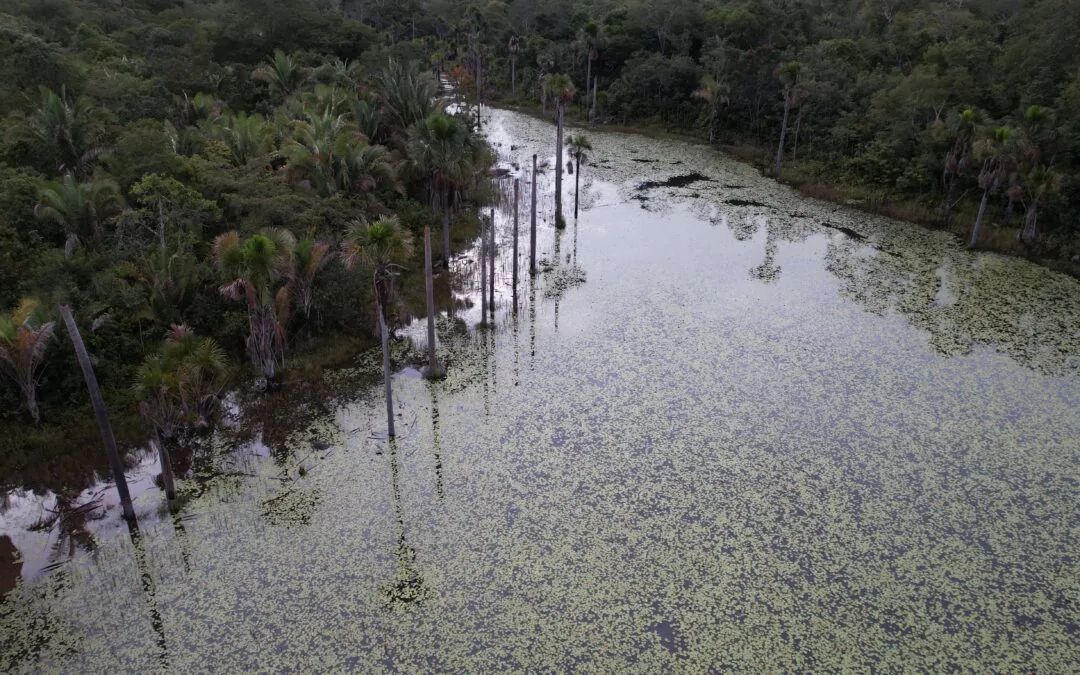 Cerrado perdeu 38% de água em rios e lagoas e viu área de barragens crescer