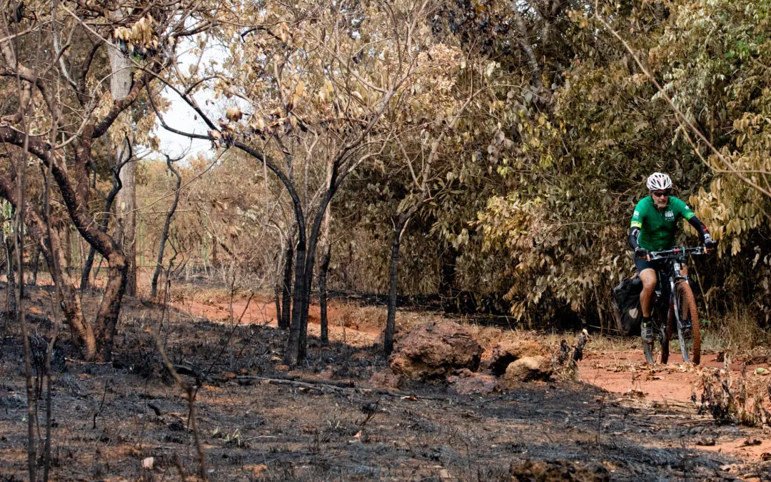 Pesquisadores pedalam 300 km para investigar mudanças climáticas no Cerrado