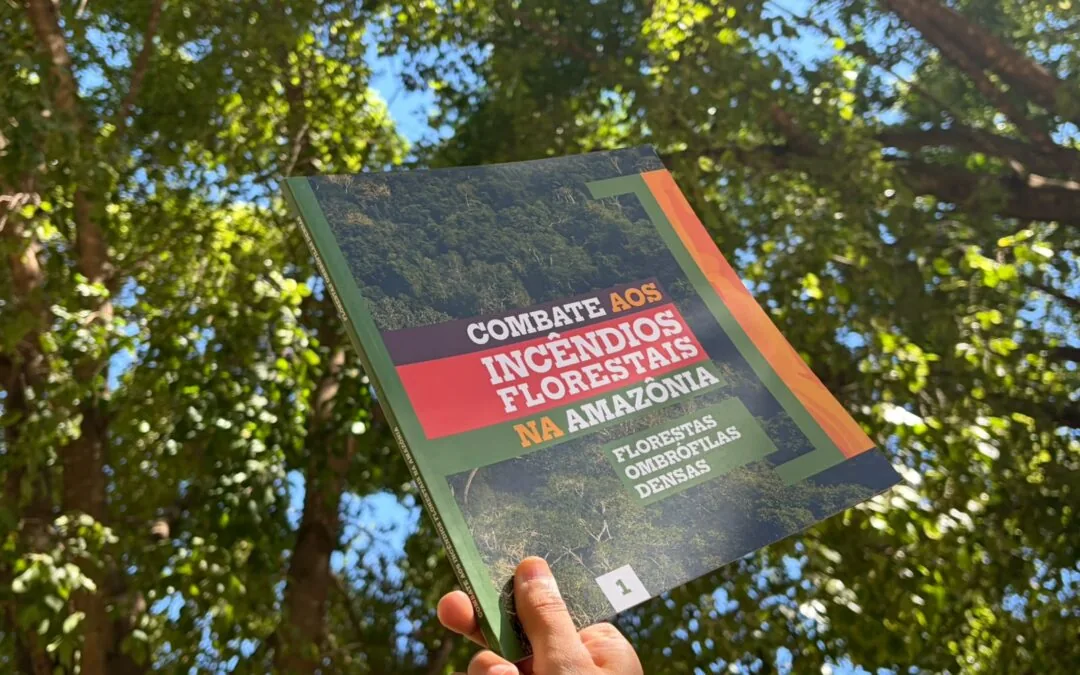 Publicação inédita reúne técnicas para o combate ao fogo na Amazônia