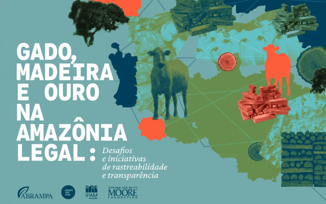 Diagnóstico inédito mapeia cadeias do gado, da madeira e do ouro