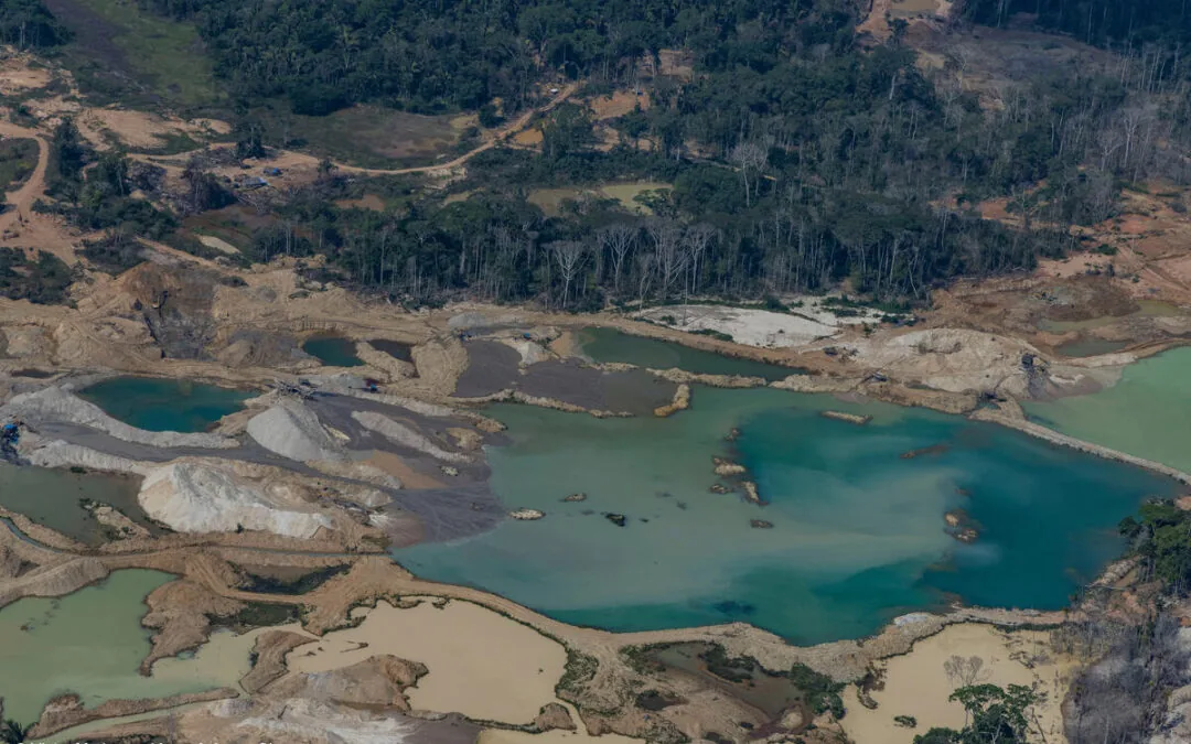 Garimpo avança 562% em terras indígenas e se soma aos impactos do El Niño