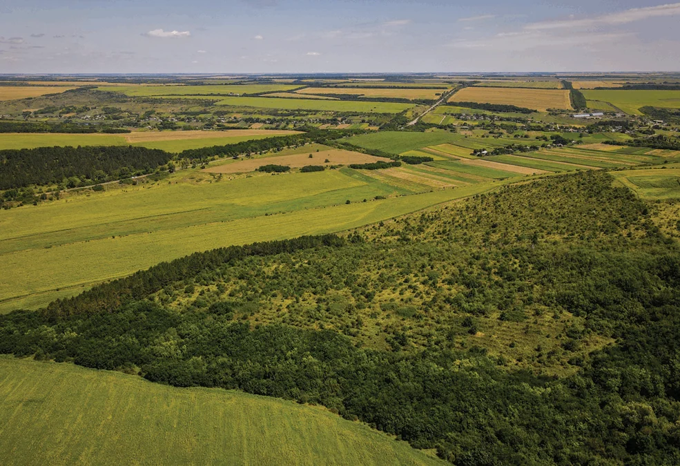 Cadeias Produtivas, Indústria e a Implementação do Código Florestal: Subsídios Estratégicos para Apoiar a Conformidade Ambiental e Competitividade Brasileira