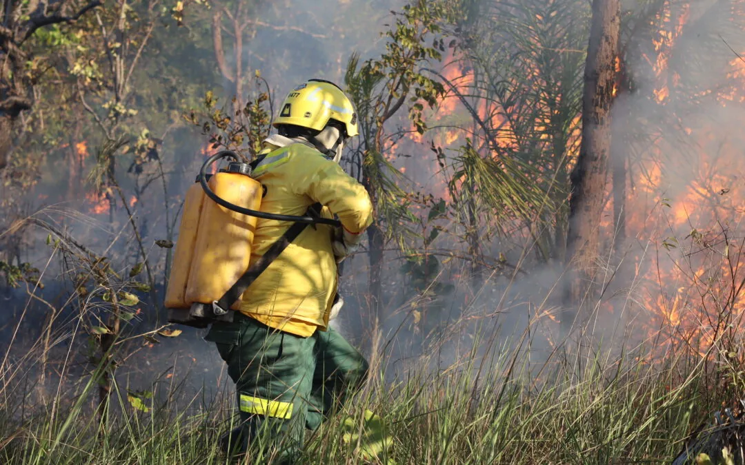 Manejo integrado busca prevenir incêndios e mudar relação com o fogo no Brasil