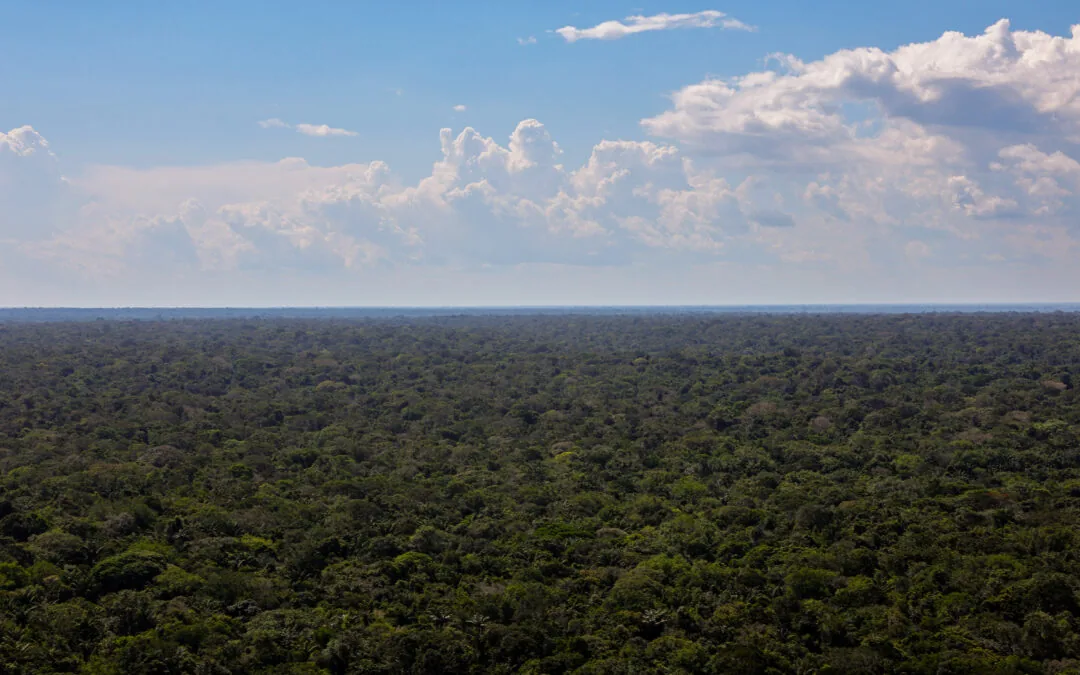 Estudo mapeia áreas prioritárias para efetivação do Código Florestal